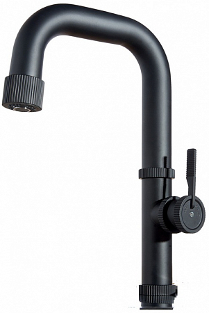 Reginox 400686 AV RAW/D MATT BLACK